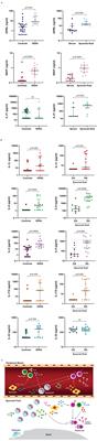 JAK Inhibitors and Modulation of B Cell Immune Responses in Rheumatoid Arthritis